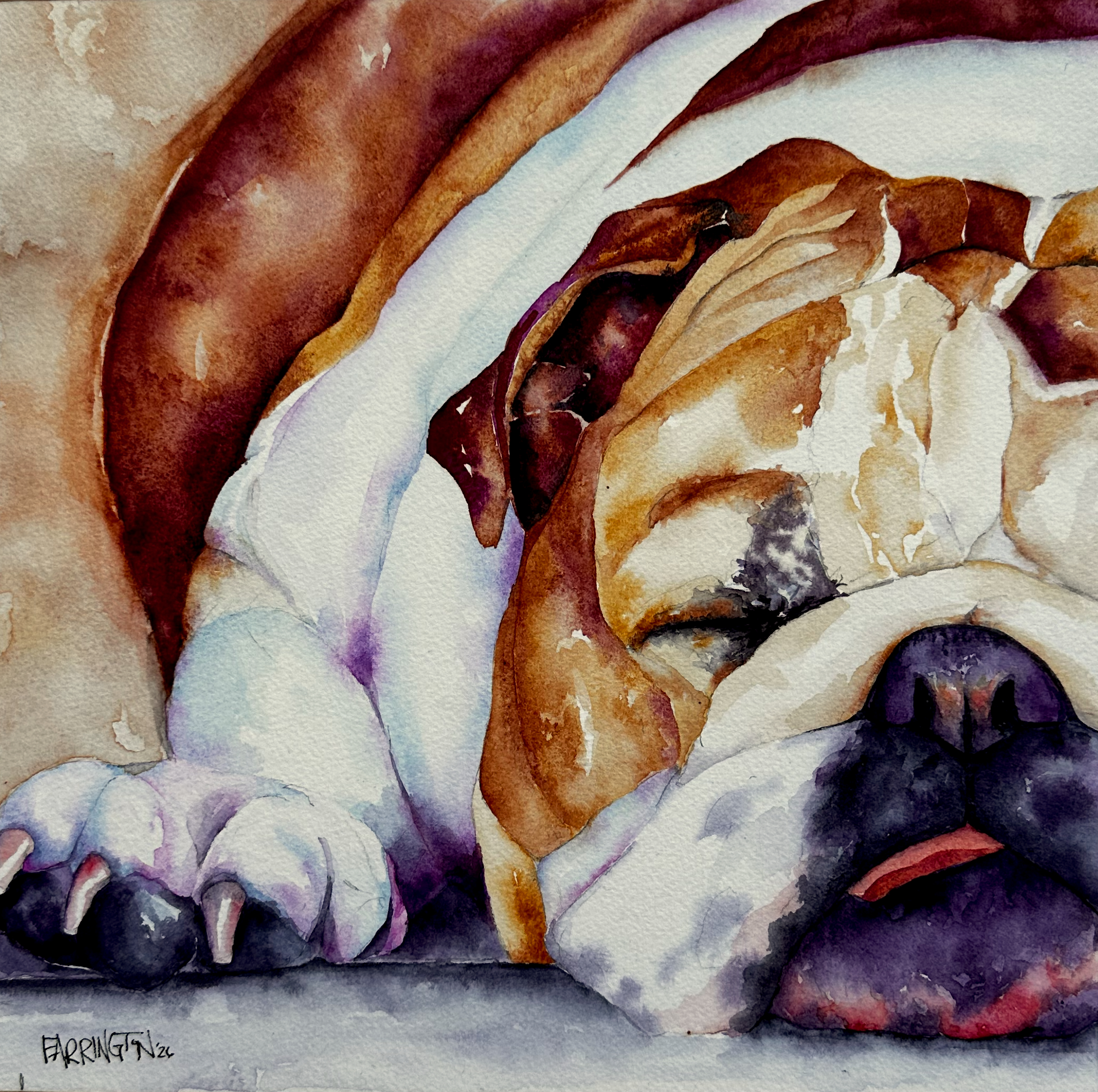 Let Sleeping Dogs Lie cards, set of 3